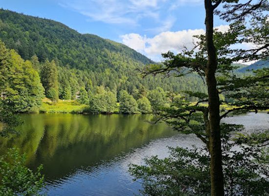 france/vosges-mountains/attraction/cascade-de-retournemer-notre-dame-des-neiges