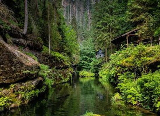 germany/saxony/attraction/kamenice-gorge