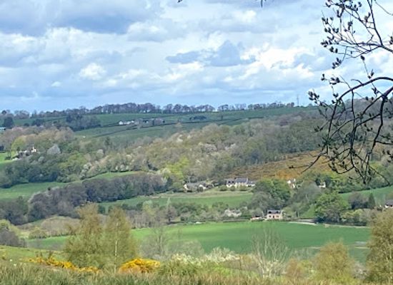 united-kingdom/lanarkshire/attraction/clyde-valley-woodlands-national-nature-reserve-cartland-crags