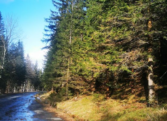 poland/karkonosze-mountains/attraction/wiata-na-odpoczynek