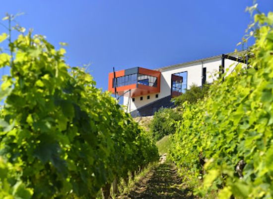 france/aquitaine/attraction/chateau-croizille