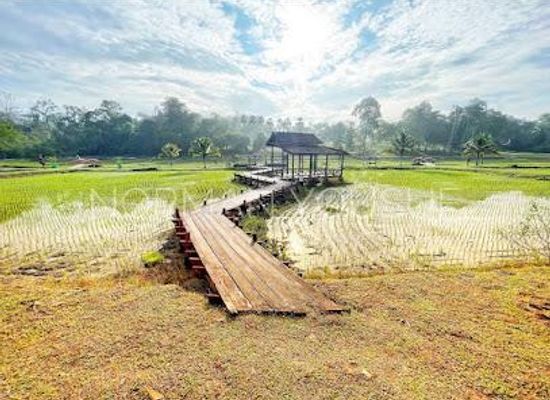 malaysia/genting-highlands/attraction/national-botanic-gardens-shah-alam