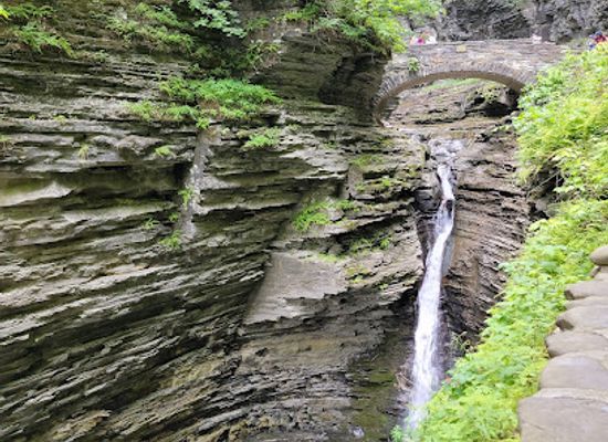 new-york/watkins-glen/attraction/watkins-glen-state-park