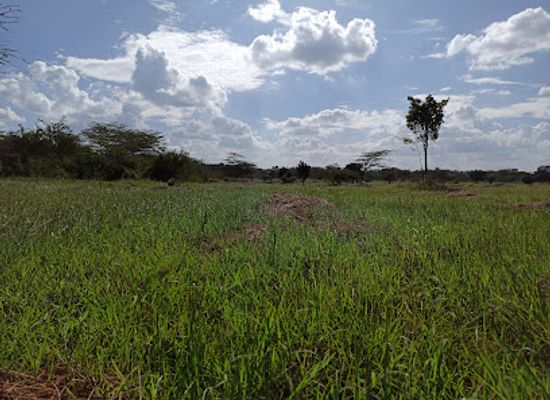 kenya/loita-plains/attraction/uhuru-gardens