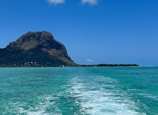 mauritius/flic-en-flac/attraction/nickococosunshine-baleines-cachalots-bateau-privatise-whales-watching