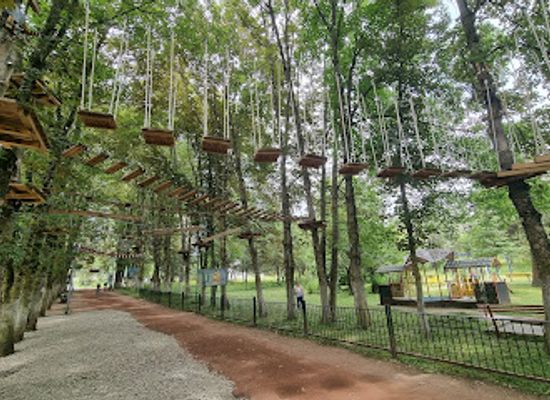armenia/dilijan/attraction/verev-rope-park