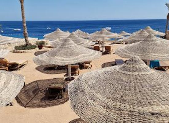 egypt/sharm-el-sheikh/attraction/shark-bay