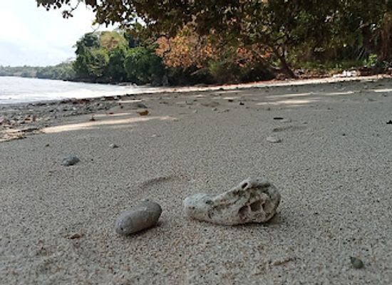 indonesia/pulau-bunaken/attraction/pantai-keluarga