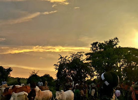 ethiopia/jinka/attraction/explore-omo-valley