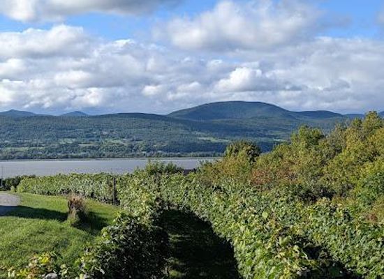 canada/saguenay-lac-saint-jean/attraction/le-vignoble-du-mitan