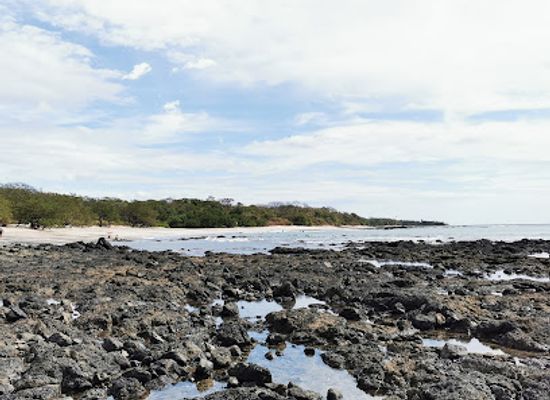 costa-rica/north-zone/attraction/playa-lagartillo
