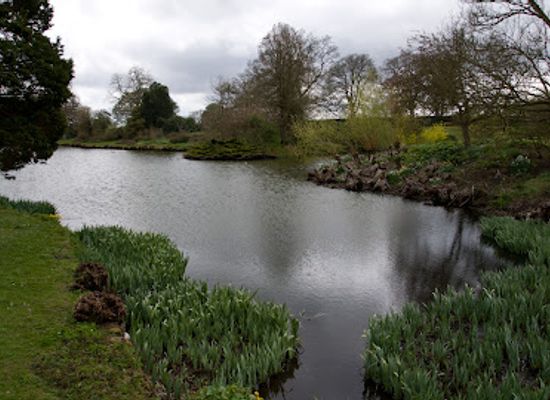 united-kingdom/cambridgeshire/attraction/alexandra-gardens