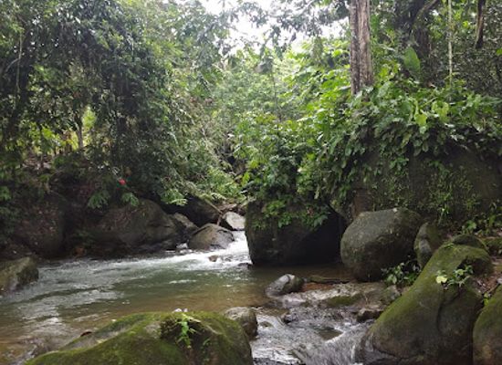ecuador/los-rios-region/attraction/rio-jerusalen