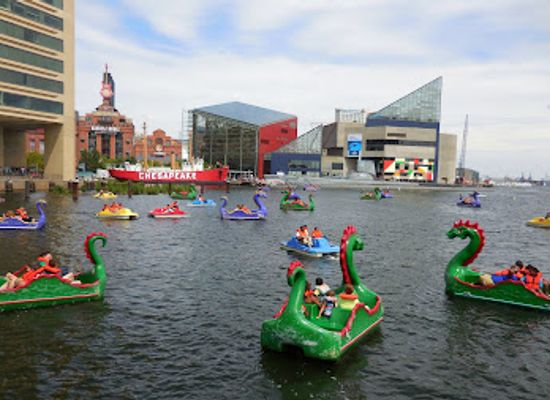 maryland/capital-region/attraction/national-aquarium