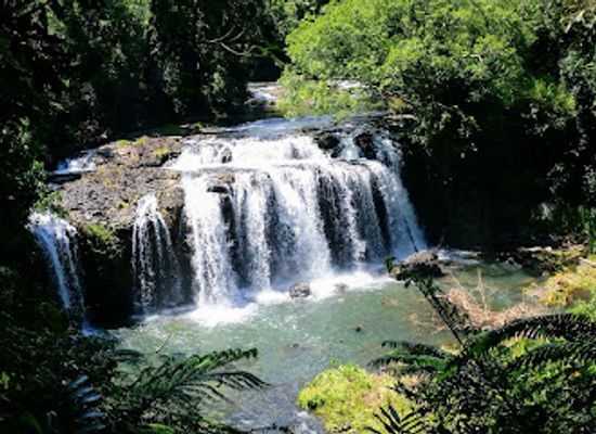 australia/southern-queensland/attraction/wallicher-falls