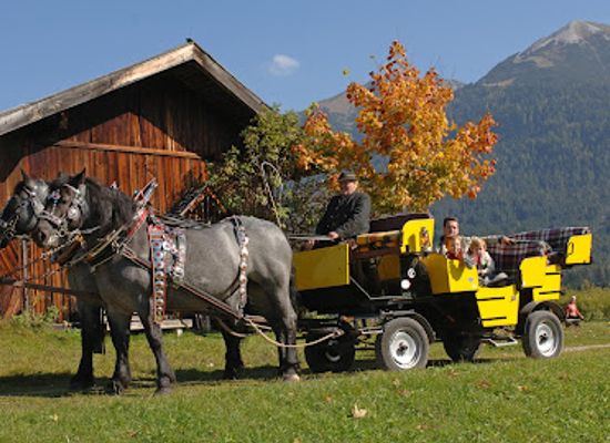 austria/wipptal/attraction/fiakerei-neuner
