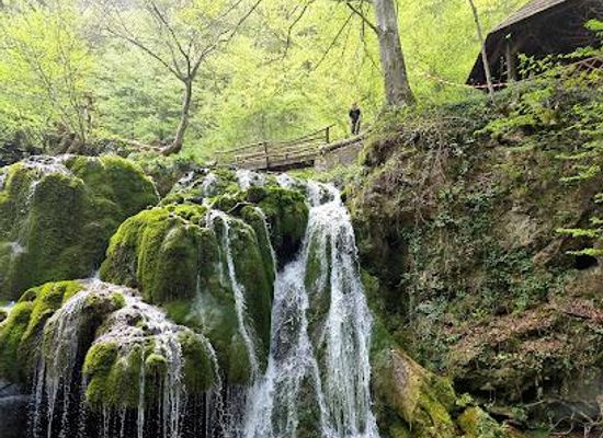 romania/cheile-nerei-national-park/attraction/bigar-cascade-falls