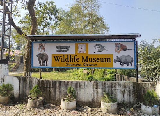 nepal/chitwan-national-park/attraction/wildlife-museum