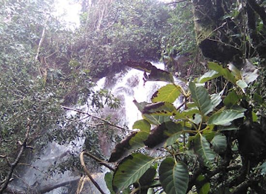 cameroon/mbouda/attraction/ntum-metoon-waterfalls-bamougong