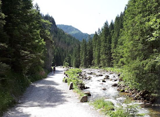 poland/tatra-mountains/attraction/lodowe-zrodlo