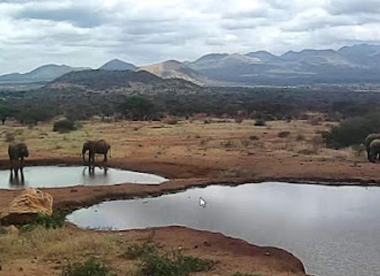 kenya/taita-hills/attraction/tsavo-national-park