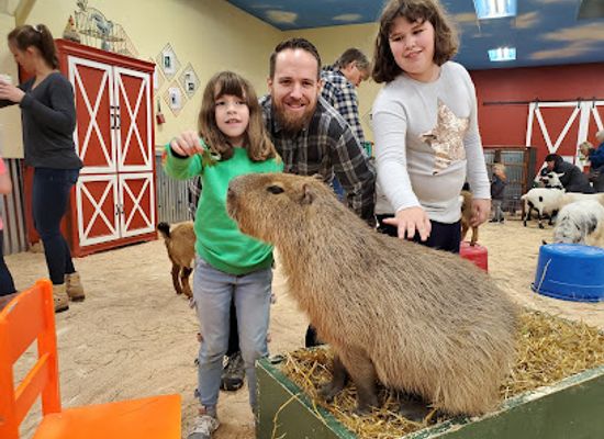 idaho/coeur-d-alene/attraction/big-red-s-barn-indoor-animal-experience-and-education