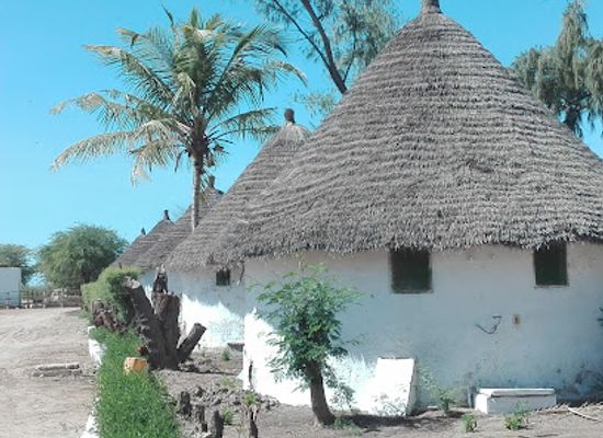 senegal/fatick/attraction/djoudj-national-bird-sanctuary