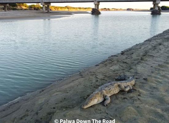 pakistan/lasbela/attraction/crocodile-view-point