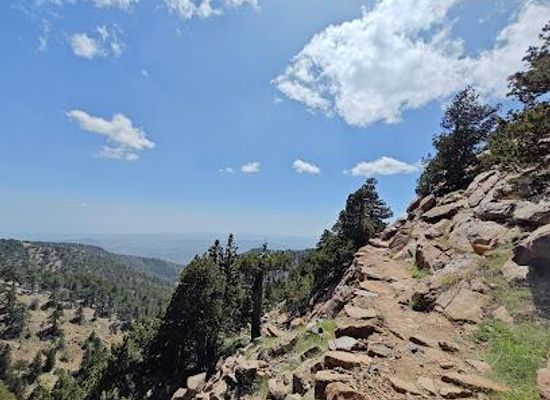 cyprus/troodos-mountains/attraction/artemis-trail