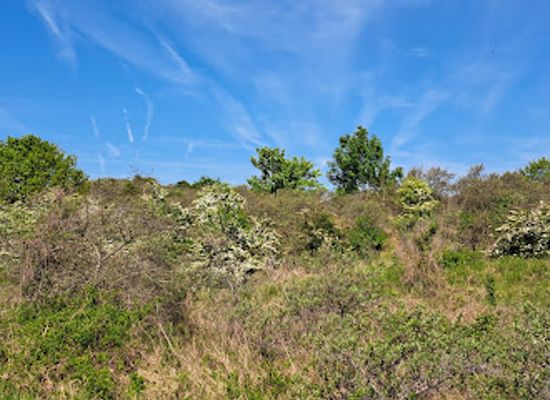 belgium/de-panne/attraction/krakeelduinen