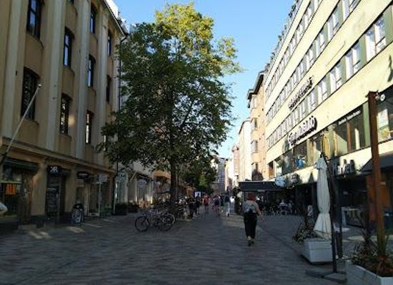 finland/uusimaa/attraction/iso-roobertinkatu