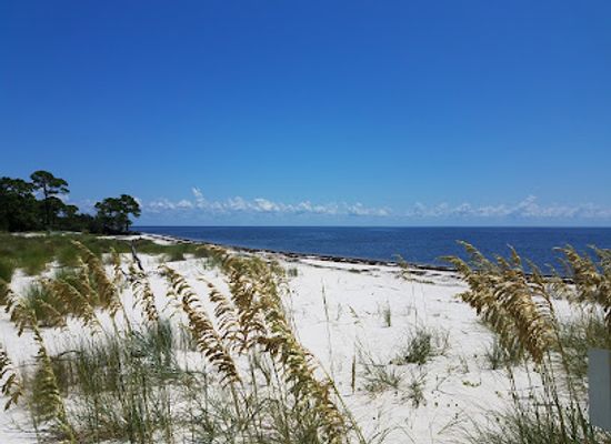 florida/fakahatchee-strand-preserve-state-park/attraction/bald-point-state-park