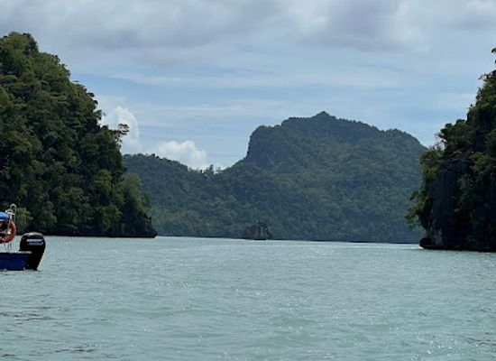 malaysia/langkawi-archipelago/attraction/azizi-mangrove-tours