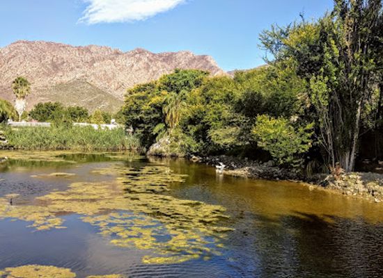 south-africa/breede-river-valley/attraction/protea-farm-tractor-trip-booking-office