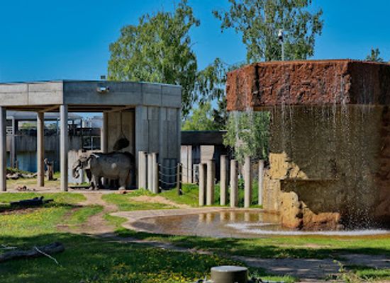 estonia/harjumaa/attraction/tallinn-zoo