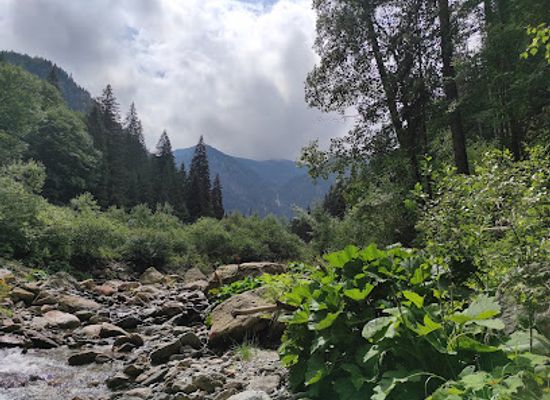 romania/retezat-national-park/attraction/cascada-scurtele
