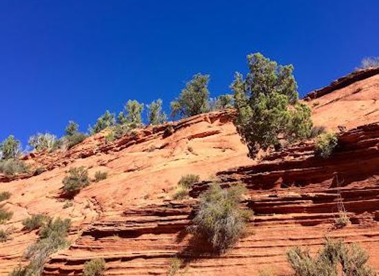 arkansas/springdale/attraction/red-canyon-slot-aka-peek-a-boo-trailhead