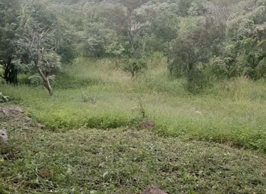 uganda/kidepo-valley-national-park/attraction/kidepo-bandas-and-office