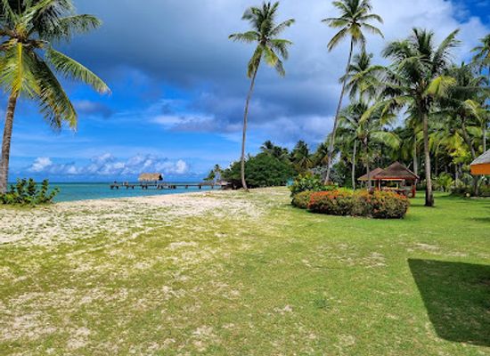 trinidad-and-tobago/buccoo-reef/attraction/coco