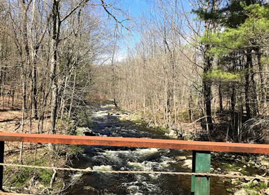 connecticut/litchfield-county/attraction/algonquin-state-forest