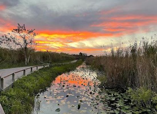 florida/homestead/attraction/everglades-national-park