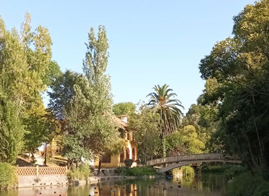 portugal/aveiro/attraction/infante-dom-pedro-park-city-park