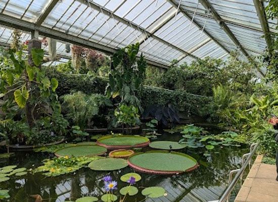 united-kingdom/london/attraction/princess-of-wales-conservatory