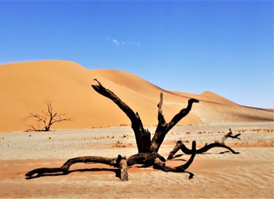 namibia/namib-desert/attraction/dune-45-viewpoint