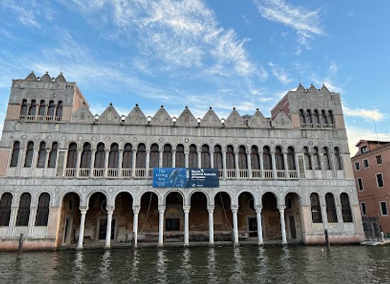 italy/venice/santa-croce/attraction/museo-di-storia-naturale-giancarlo-ligabue