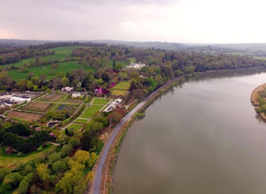 ireland/county-waterford/attraction/mount-congreve-gardens