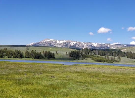 montana/beartooth-highway/attraction/lamar-valley