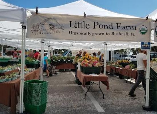 florida/tampa-bay-area/attraction/st-petersburg-saturday-morning-market