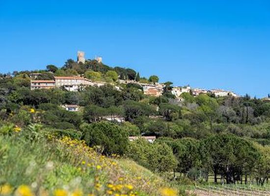 france/saint-tropez/attraction/chateau-de-grimaud