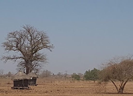 senegal/saint-louis-region/attraction/reserve-sylvo-pastorale-de-doli